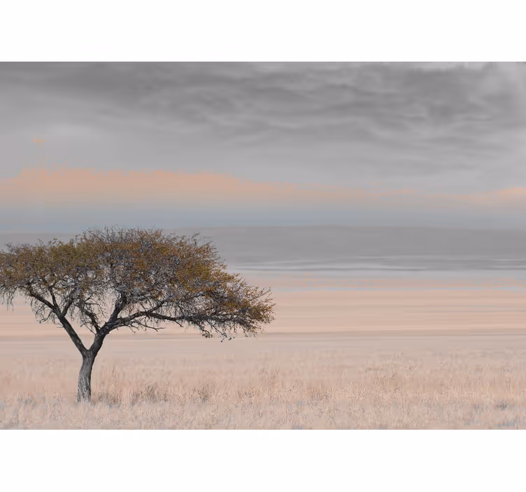 Fotomurali natura paesaggio albero isolato - TenStickers
