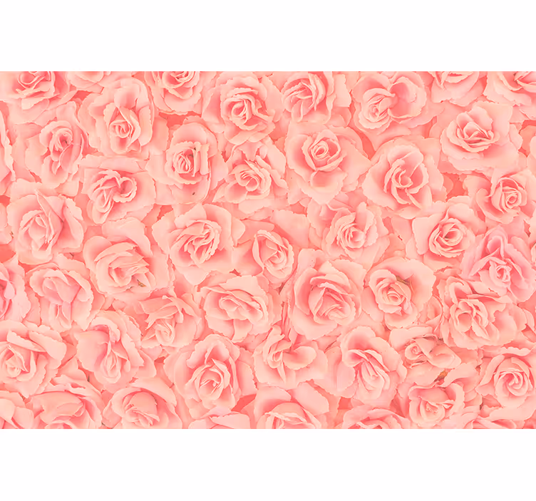 Fotomurale fiori rose in fiore - TenStickers