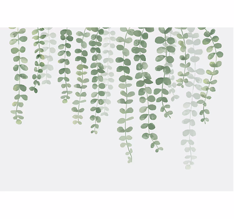 Fotomurale alberi lussureggianti viti verdi - TenStickers