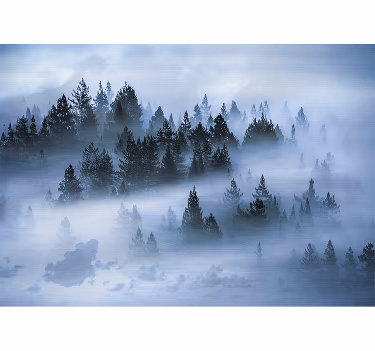 Fotomurali natura boschi sempreverdi nebulosi - TenStickers