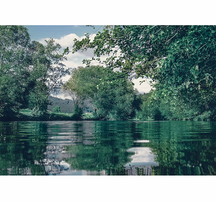 Fotomurali natura paesaggio fluviale tranquillo - TenStickers