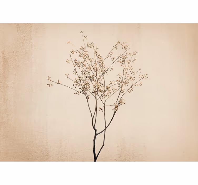 Fotomurale fiori ramo floreale delicato - TenStickers