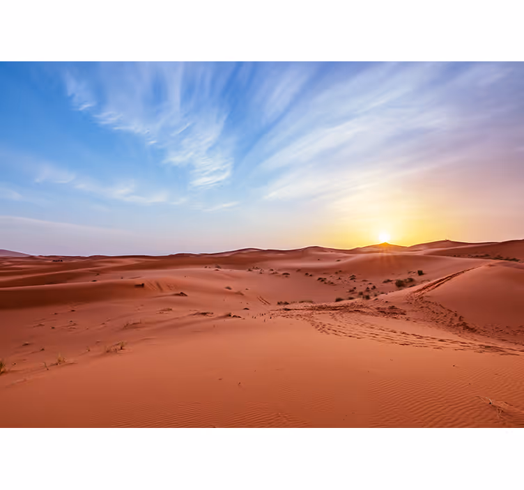Fotomurale deserto tramonto dorato nel deserto - TenStickers