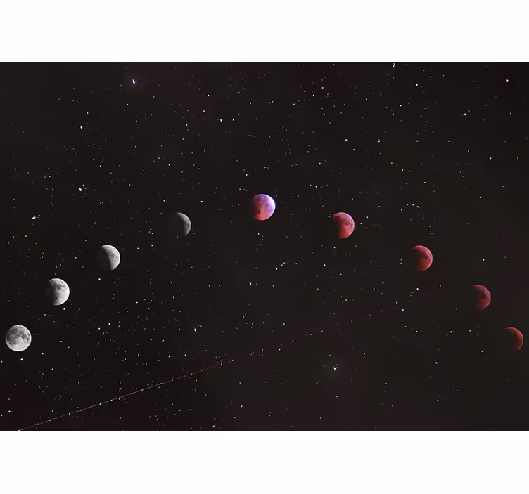 Fotomurale spaziale fasi della luna - TenStickers