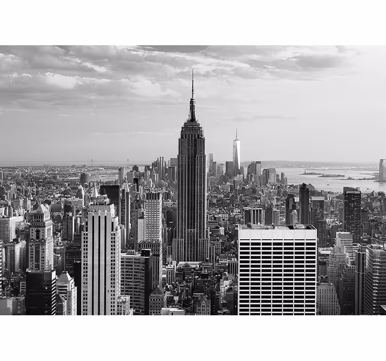 Fotomurale new york paesaggio urbano empire state - TenStickers