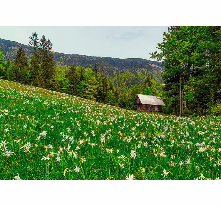 Fotomurali natura paesaggio pastorale sereno - TenStickers
