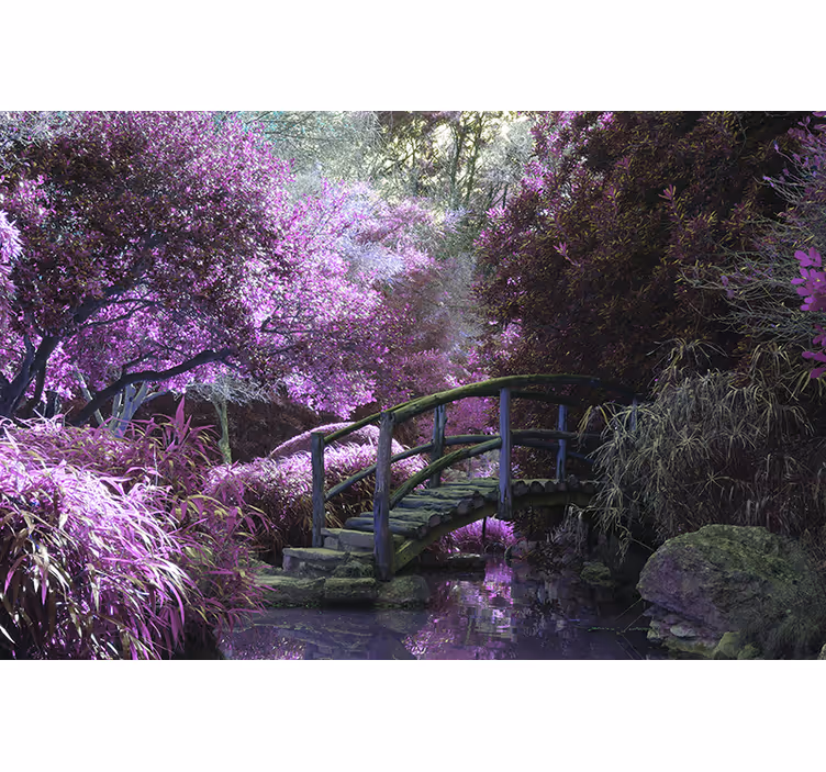 Fotomurali natura paesaggio del ponte tranquillo - TenStickers