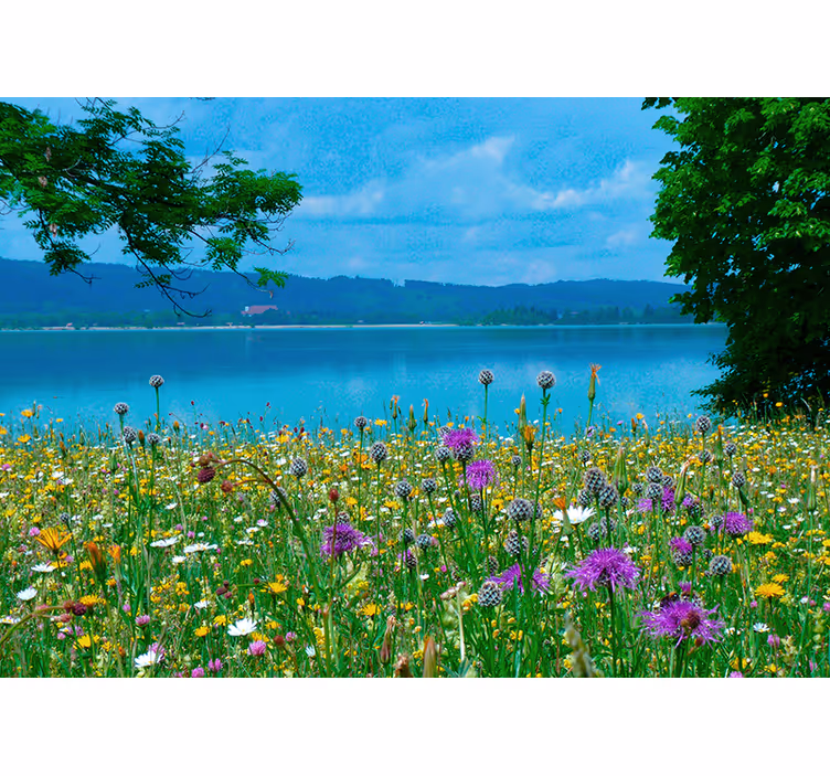 Fotomurale fiori flora di prato lussureggiante - TenStickers