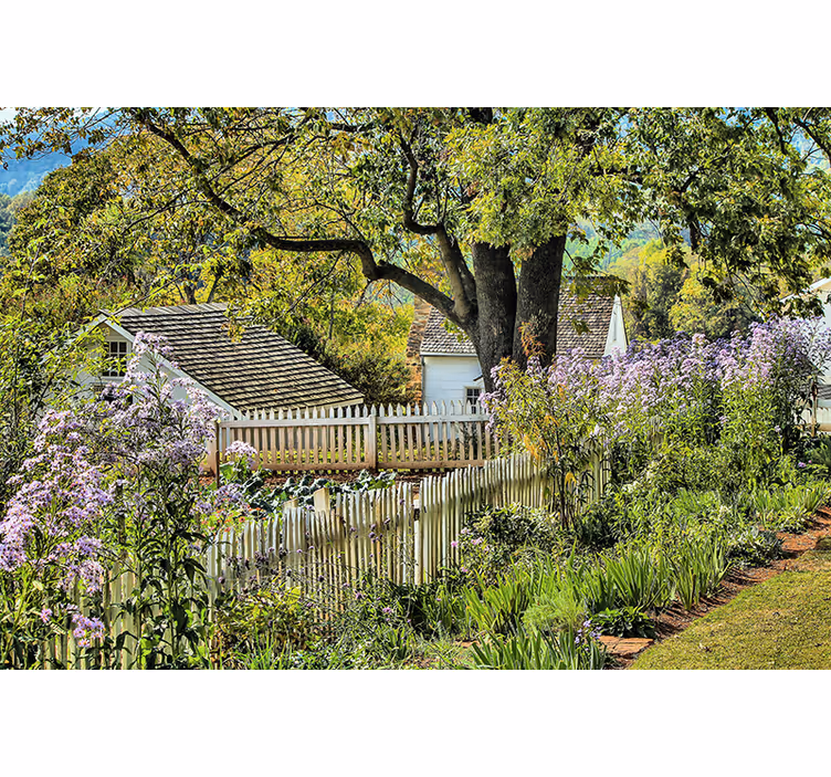Fotomurale paesaggi vista giardino sereno - TenStickers