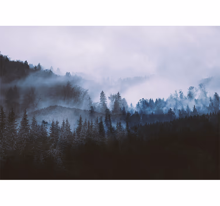 Fotomurale foresta paesaggio di conifere nebbioso - TenStickers