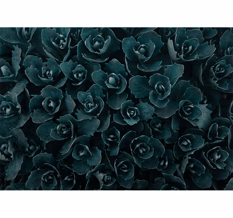 Fotomurale fiori rosa elegante fiorita - TenStickers