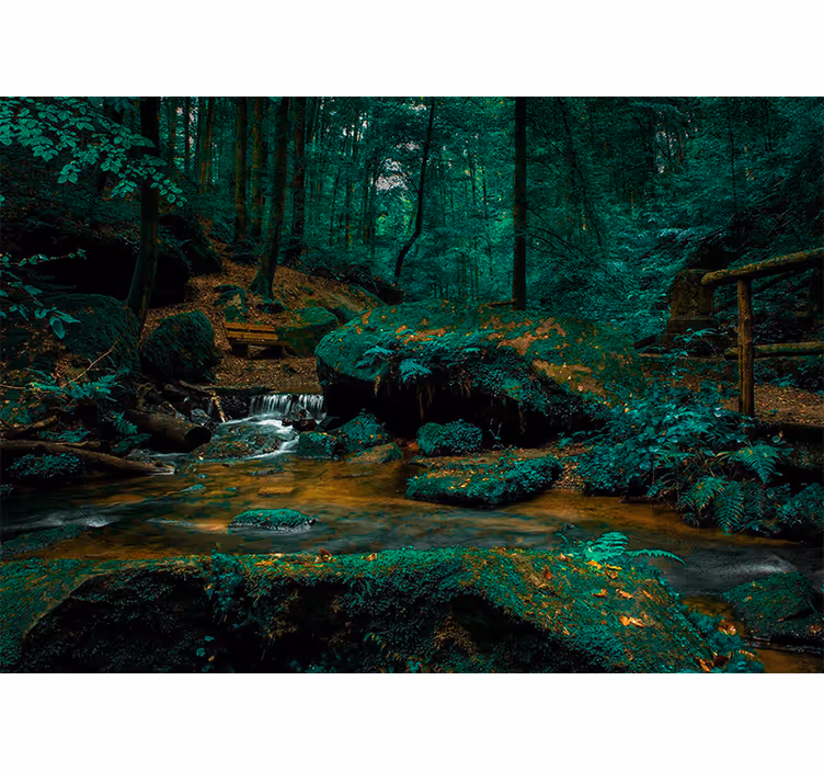 Fotomurale foresta ruscello serene nella foresta - TenStickers
