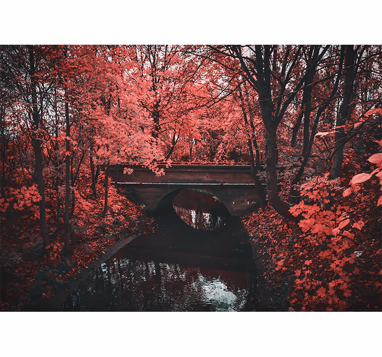 Fotomurali natura foresta con foglie rosse - TenStickers