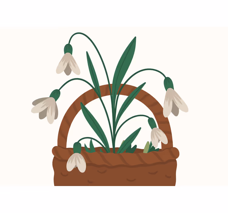 Fotomurale fiori fioriture di bucaneve delicate - TenStickers