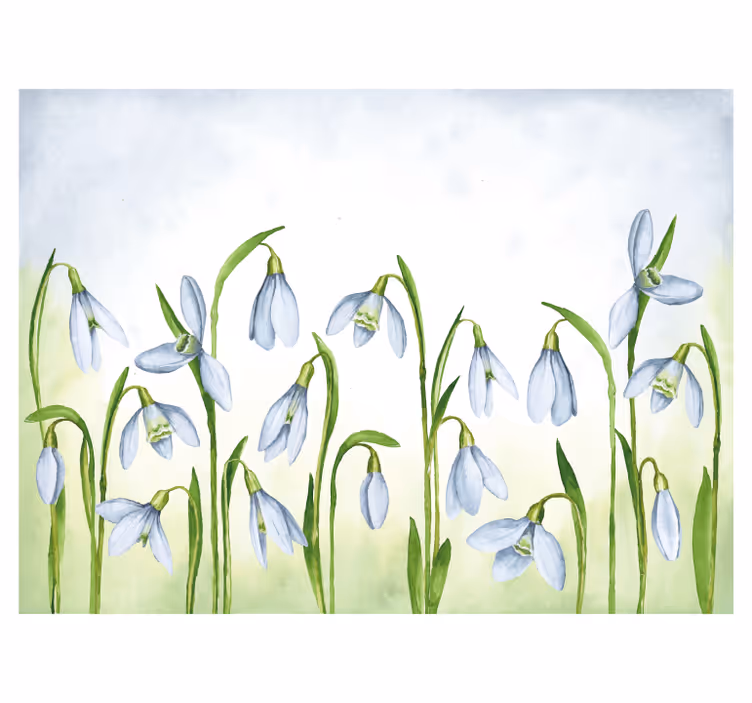 Fotomurali fiori diversi flora di bucaneve - TenStickers