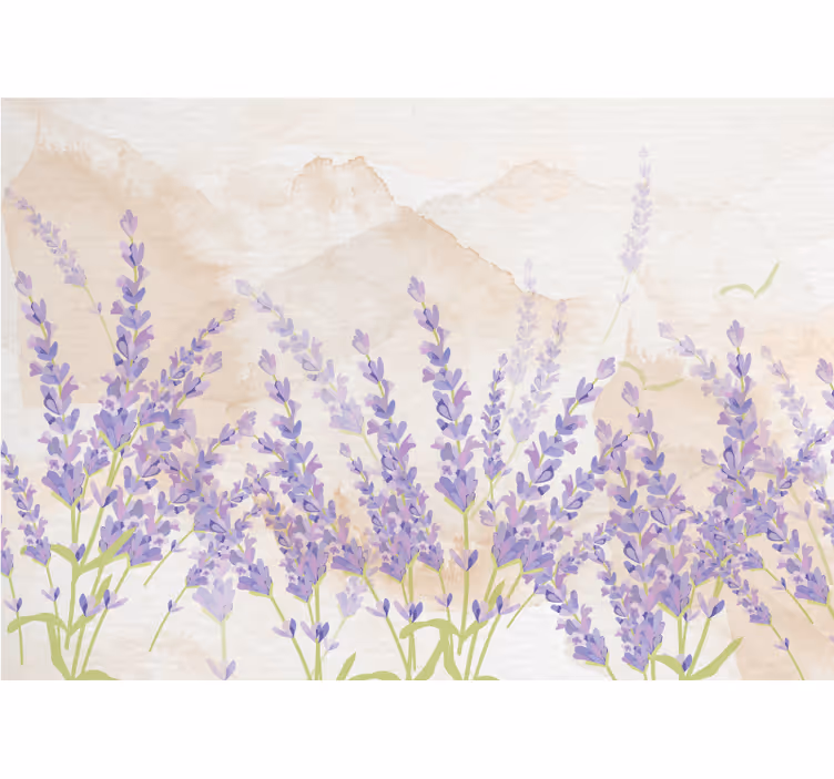 Fotomurale fiori scena campi di lavanda - TenStickers