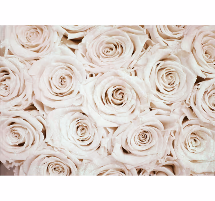 Fotomurale fiori composizione di rose morbide - TenStickers