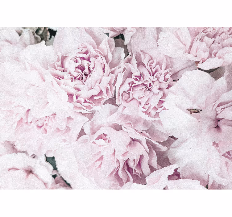 Fotomurale fiori fioriture rosa tenue - TenStickers