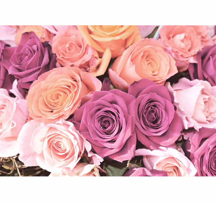 Fotomurale fiori bouquet di rose in primo piano - TenStickers
