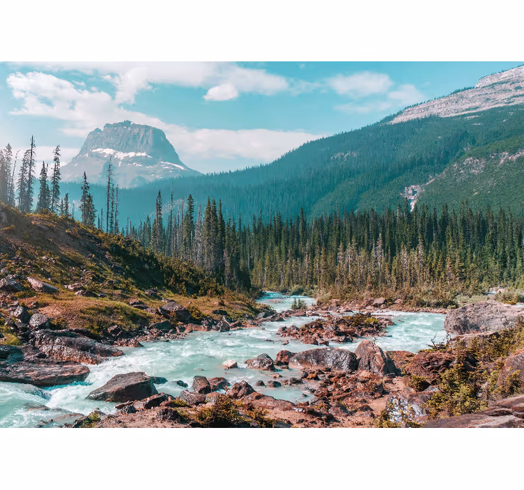 Fotomurale paesaggi torrente montano verdeggiante - TenStickers