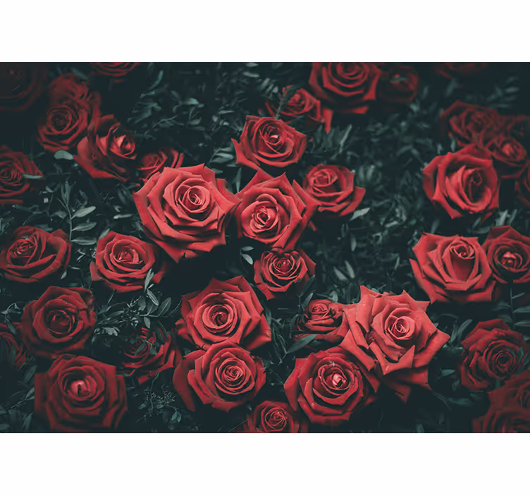 Fotomurale fiori rose rosse romantiche - TenStickers