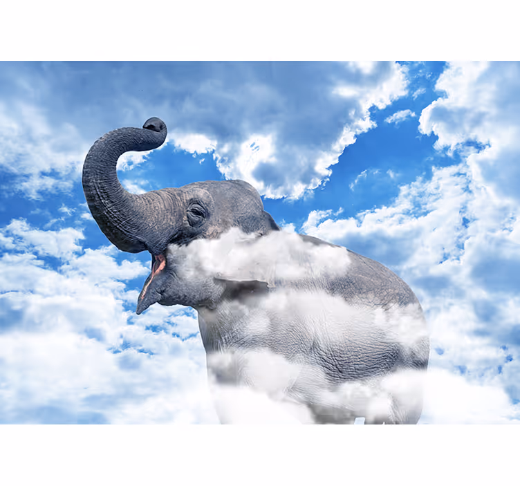 Fotomurali animali diversi elefante tra le nuvole - TenStickers