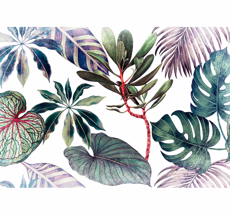 Fotomurali natura composizione foliage tropicale - TenStickers