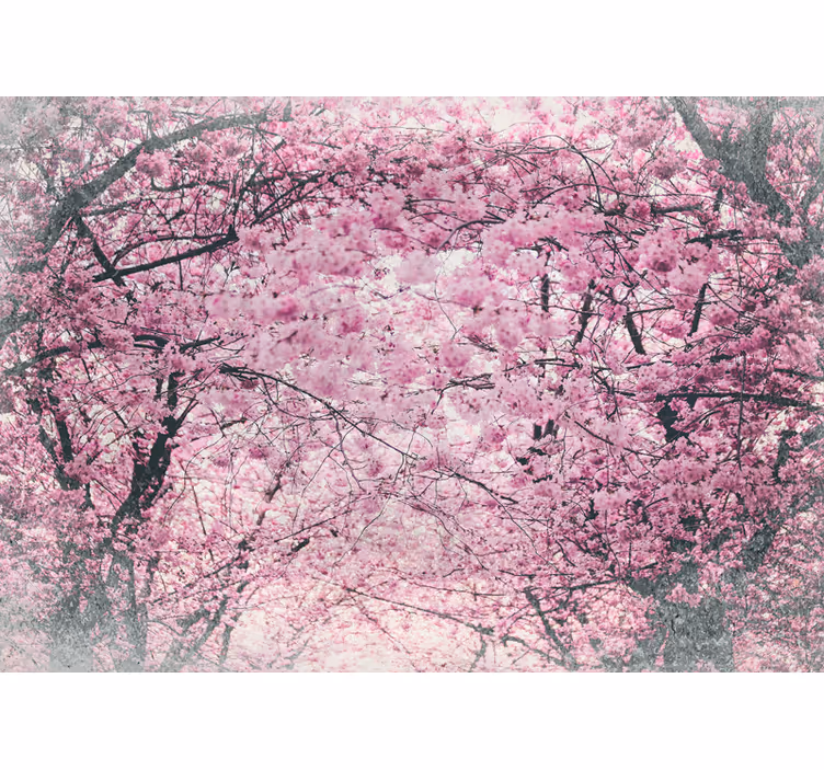 Fotomurale fiori viale dei ciliegi - TenStickers