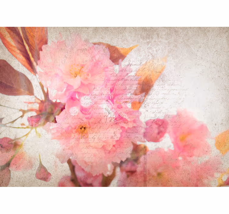 Fotomurale fiori fiori di ciliegio - TenStickers