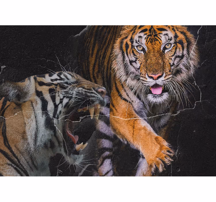 Fotomurale animali incontro con il maestoso tigre - TenStickers
