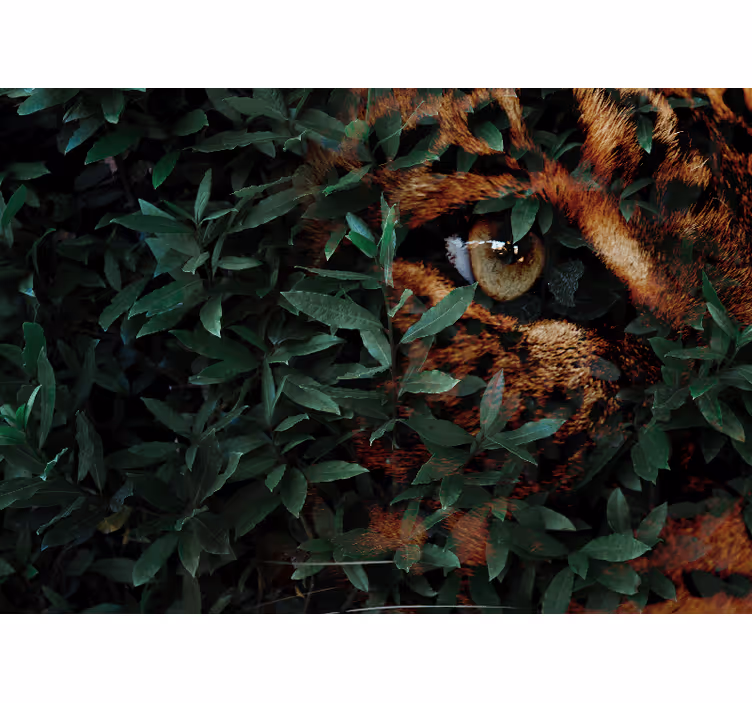 Fotomurale animali leopardo tra il fogliame - TenStickers