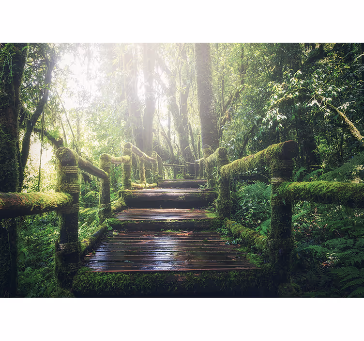 Fotomurali natura sentiero boscoso lussureggiante - TenStickers