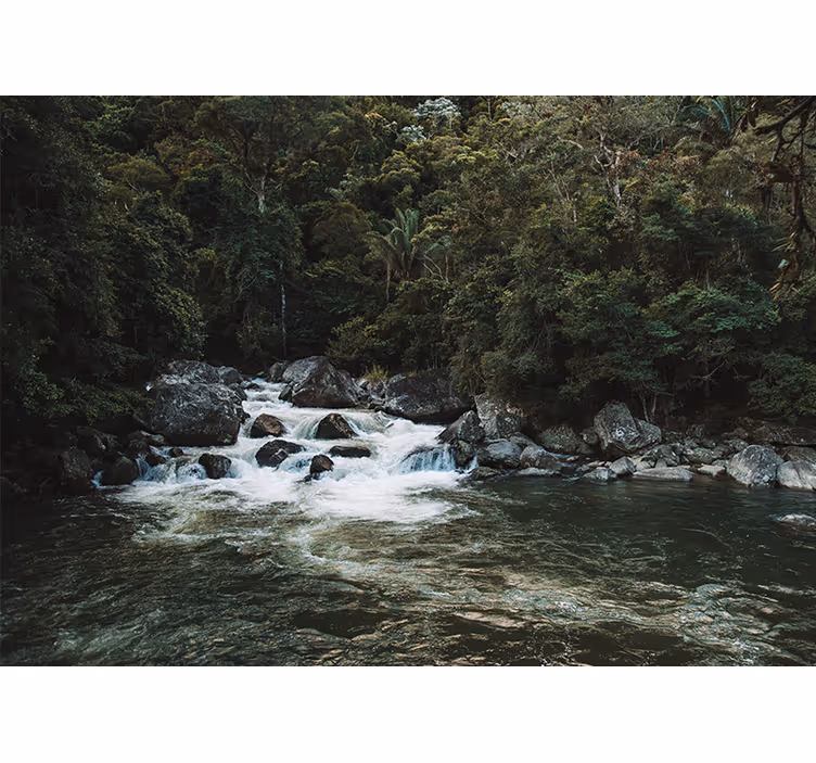 Fotomurali natura scena serena del fiume - TenStickers