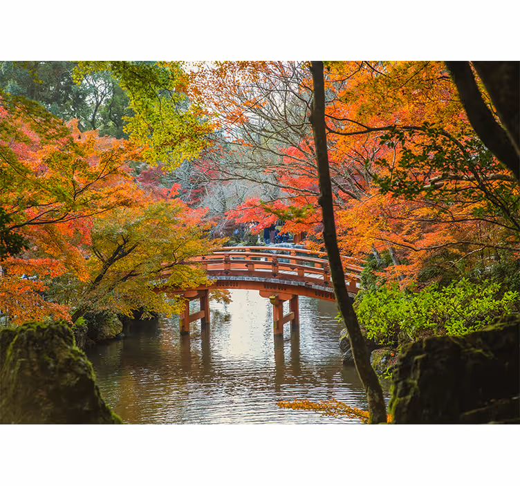 Fotomurali natura scena del ponte d'autunno - TenStickers