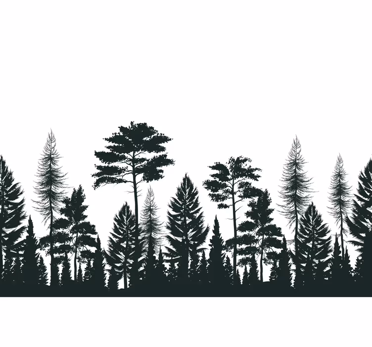 Fotomurali natura alberi sempreverdi silhouette - TenStickers