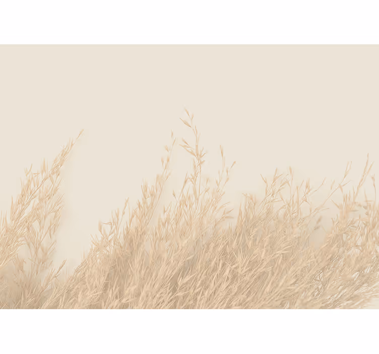 Fotomurali natura paesaggio erboso dolce - TenStickers