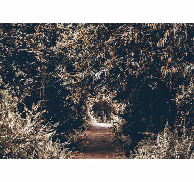 Fotomurali natura sentiero nel bosco - TenStickers