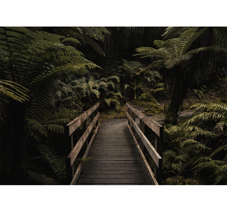 Fotomurale foresta sentiero di legno - TenStickers
