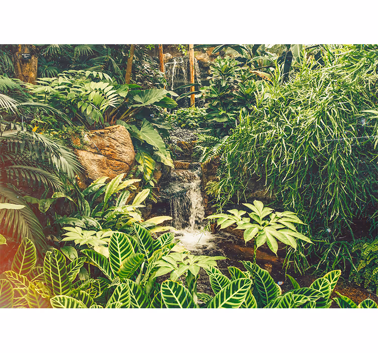 Fotomurali natura paradiso tropicale vibrante - TenStickers