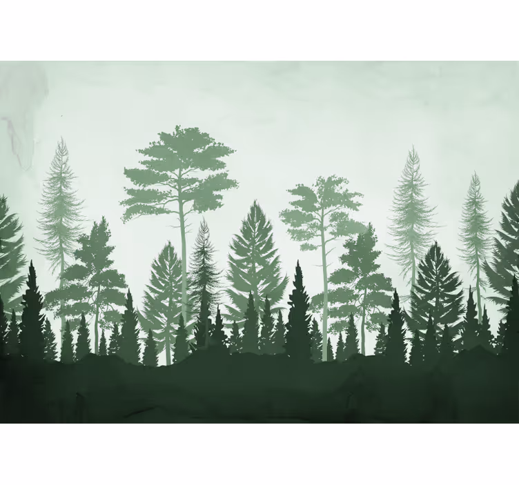 Fotomurale foresta foresta verdeggiante - TenStickers