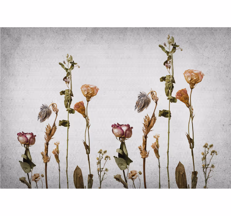 Fotomurale fiori composizione floreale essiccata - TenStickers