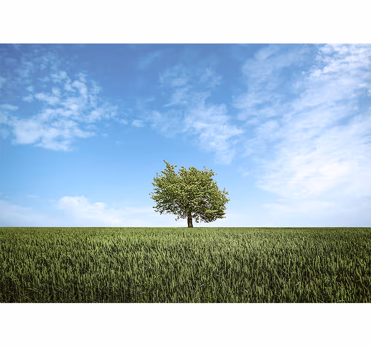 Fotomurali natura paesaggio di albero solitario - TenStickers