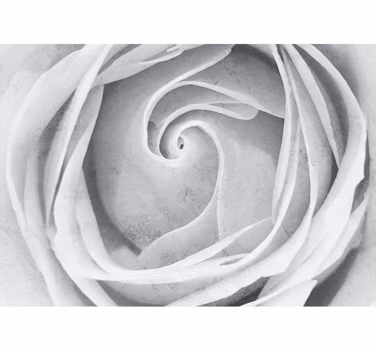 Fotomurale fiori spirale di rose eleganti - TenStickers