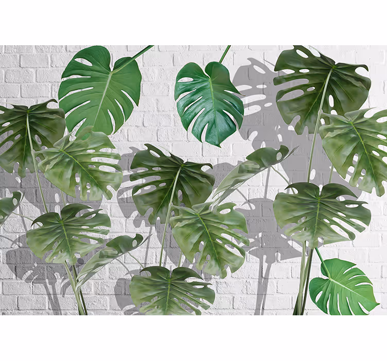 Fotomurali natura composizione foglie monstera - TenStickers