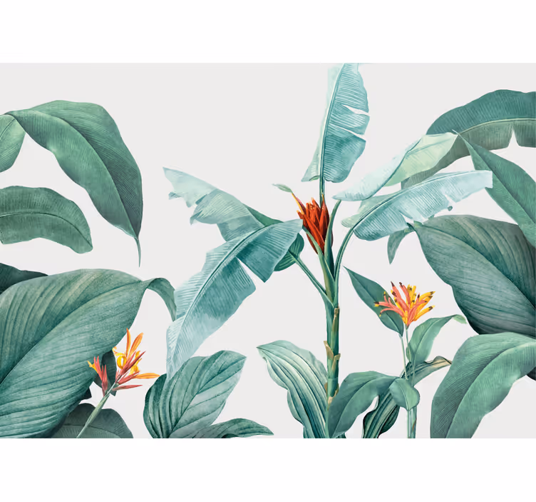 Fotomurali fiori diversi composizione di piante tropicali - TenStickers