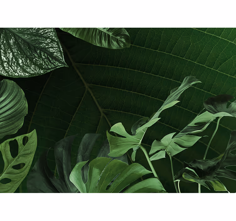 Fotomurali natura fogliame verde lussureggiante - TenStickers