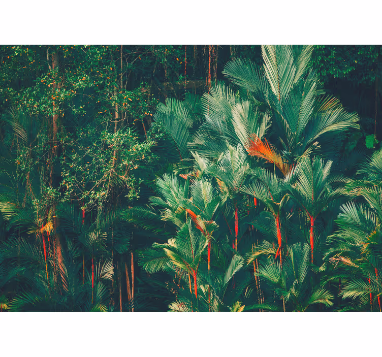 Carta da parati giungla collezione palme tropicali - TenStickers
