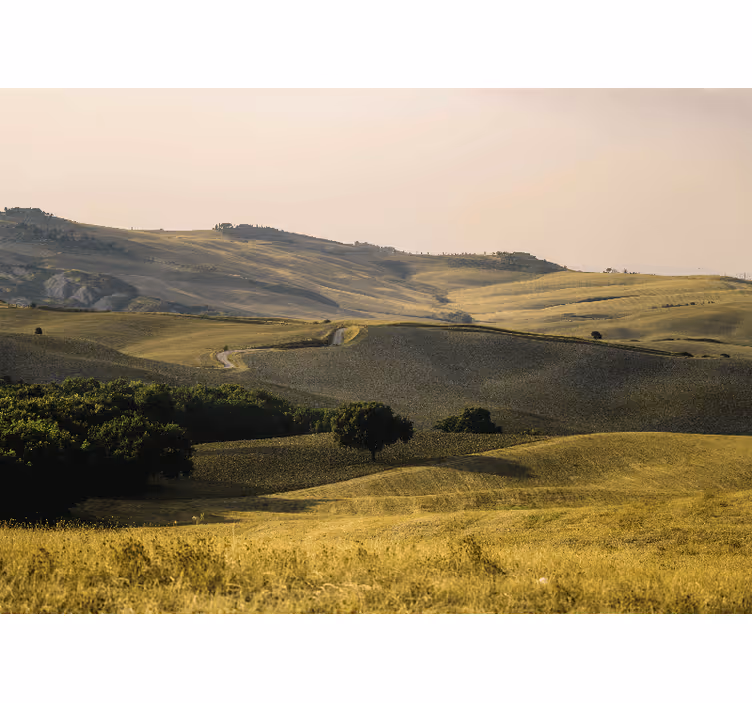 Fotomurale paesaggi colline ondulate - TenStickers