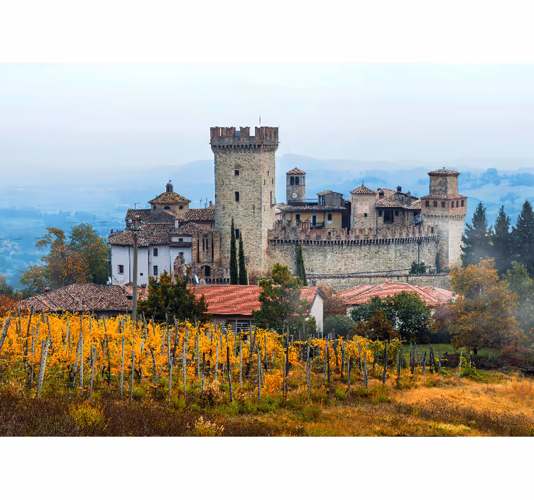 Fotomurale città paesaggio castello eredità - TenStickers
