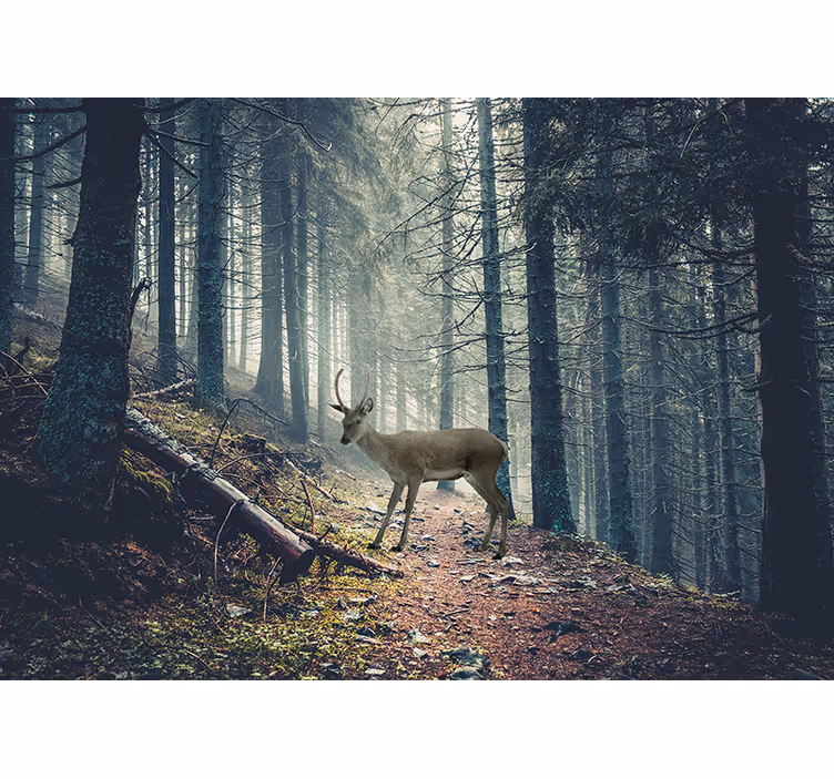 Fotomurale foresta cervo nel bosco - TenStickers
